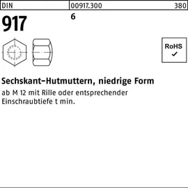 Hörger & Geßler Sechskanthutmutter DIN 917 M 20 x 2,5 Stahl 25 Stück