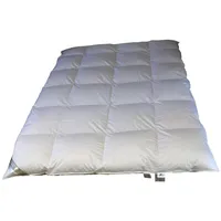 Betten Hofmann Hofmann Franken 8cm Hochsteg Winterbett Daunenbett Daunendecke 4x6 155x200 1200g