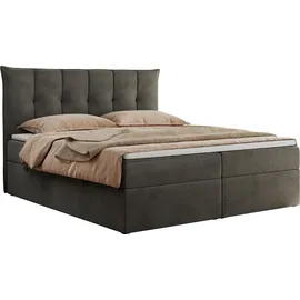 MKS Meble Boxspringbett 160x200 cm mit Bettkasten und Matratze H4, Bett mit Topper T25, Polsterbett Doppelbett mit Stauraum - Premium 10 - Dunkelgrau