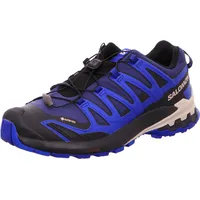 Salomon XA Pro 3D V9 GTX Herren Blue Print/Surf The Web/Lapis Blue 47 1/3