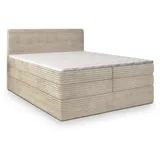 masseno LUNERA 180 x 200 cm H2 Creme
