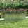 vidaXL Garten-Hochbeet verzinkter Stahl rechteckig 240 x 40 x 77 cm Silber