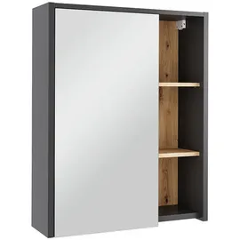 Vicco Viola 60 cm grau