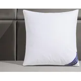 Excellent "Venedig" 1-tlg 100% Daunen 80x80cm