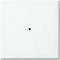 Busch-Jaeger Wandsender 6731-914