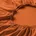 Estella 100 220 Terracotta