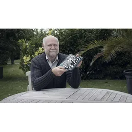 Millennium Schachcomputer Europe Chess Master II (M800)