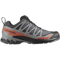 Salomon XA Pro 3D V9 GTX Herren Turbulence/Black/Burnt Ochre 45 1/3