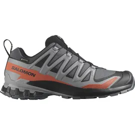 Salomon XA Pro 3D V9 GTX Herren Turbulence/Black/Burnt Ochre 45 1/3