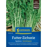 Kiepenkerl Gründünger Futter-zichorie Spadona Vorteilspackung für ca. 1000 Pflanzen