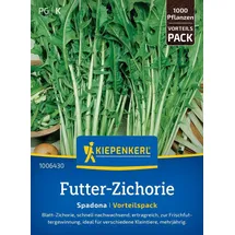 Kiepenkerl Gründünger Futter-zichorie Spadona Vorteilspackung für ca. 1000 Pflanzen