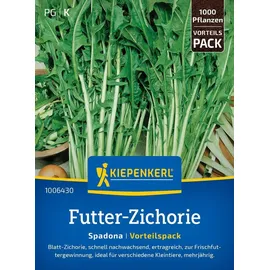 Kiepenkerl Gründünger Futter-zichorie Spadona Vorteilspackung für ca. 1000 Pflanzen
