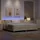 vidaXL LED Boxspringbett 200 x 200 cm Creme