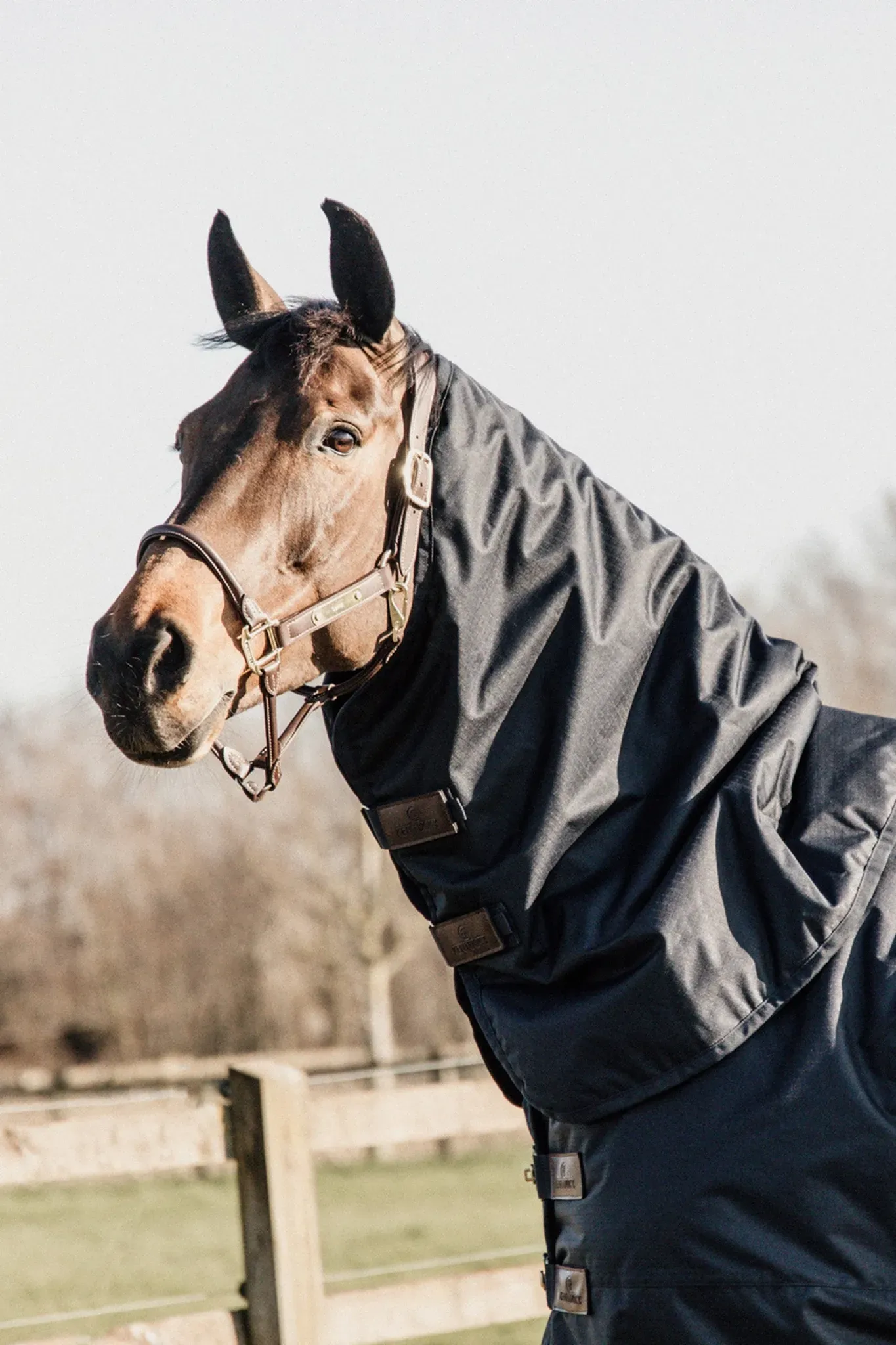 Kentucky Horsewear Outdoor Halsteil, 0g