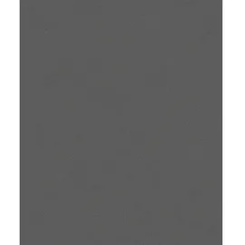 Schöner Wohnen KOLLEKTION Vliestapete, Uni, anthrazit - grau