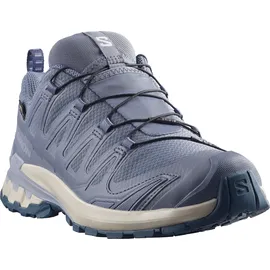 Salomon XA Pro 3D V9 GTX Damen Grisaille/Tradewinds/Spellbound 38,5