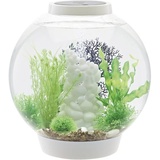 OASE biOrb CLASSIC 30 LED weiß Aquarium 30l mit LED-Beleuchtung