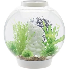 OASE biOrb CLASSIC 30 LED weiß Aquarium 30l mit LED-Beleuchtung