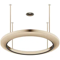 Dornbracht AQUAHALO Regenpaneel, 41750979-46, Farbe: Champagne gebürstet