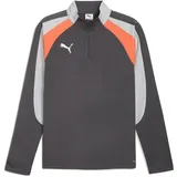 Puma Individualliga 1/4 Zip Sweatshirt, grau F10 S
