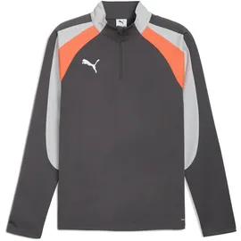 Puma Individualliga 1/4 Zip Sweatshirt, grau F10 S