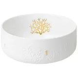 räder Schale Seepferdchen und Koralle