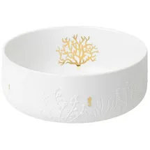 räder Schale Seepferdchen und Koralle