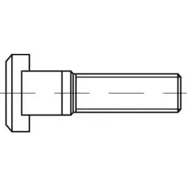 Industrial Quality Supplies T-Nutenschraube M24 x 160 mm 5 Stück