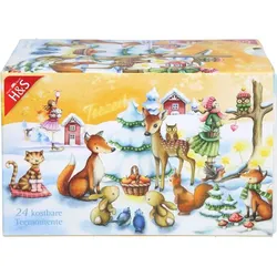 H&S Adventskalender Stern Filterbeutel 24 St.