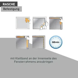 WINDHAGER Moskitonetz Standard für Fenster 150 x 300 cm Weiß