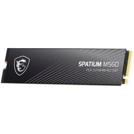 MSI Spatium M560 1 TB M.2