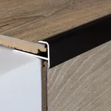 PROVISTON | Einschubprofil | Aluminium eloxiert | Bronze Dunkel | Breite 37 mm | Höhe 10.3 mm | Länge 1000 mm | Gebohrt | Abschlussprofil | Einfassprofil | Abschlussleiste | Bodenprofil | 1 Stück