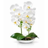 Kunstorchidee PASCH® Orchidee künstlich wie echt in Hochglanz-Keramiktopf Orchidee, PASCH, Hochglanz Keramiktopf