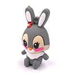 H-Customs Hase USB Stick 8GB 16GB 32GB USB 2.0/64 GB