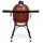 Kamado Joe Classic Joe I rot