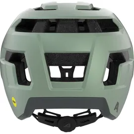 Alpina Taunus Gravel MIPS 55-59 cm Herren willow-green matt 2021