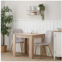 Homestyle4u Essgruppe mit 2 Polsterstühlen in Natur und Grau