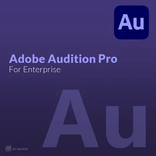 Adobe Audition Pro für Enterprise
