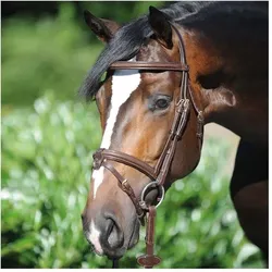 Trensen Reiten Kavalkade Lorenz COB