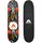 Apollo Kinderskateboard Flash 24 Zoll