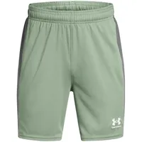 Under Armour Challenger Knit Kurze Hose - silica Green