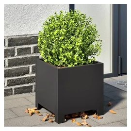 vidaXL Pflanzkübel 30 x 30 x 30 cm Schwarz