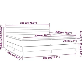 vidaXL Boxspringbett 200 x 200 cm Schwarz