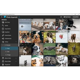 Ashampoo Photo Organizer Pro 26