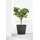 Ecopots Amsterdam Ø 80 x 75 cm Dunkelgrau