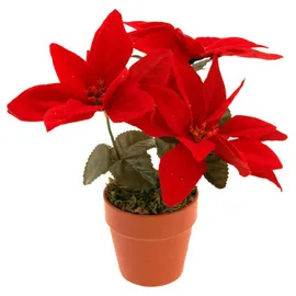 Home Styling Collection Weihnachtsstern 15 x 22 x 13 cm Rot