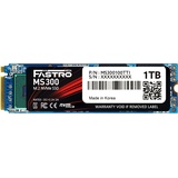 MEGA Electronics Fastro MS300 SSD 1TB, M.2 2280/M-Key/PCIe 4.0 x4 (MS300100TTI)