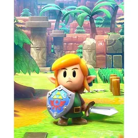 The Legend of Zelda: Links Awakening (USK) (Nintendo Switch)