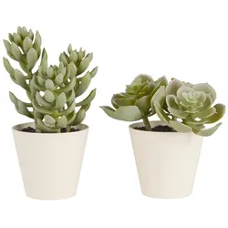 IB Laursen Künstliche Sukkulente 2er Set im Topf Sedum und Echeverie, Höhe 12, Ø 12 cm