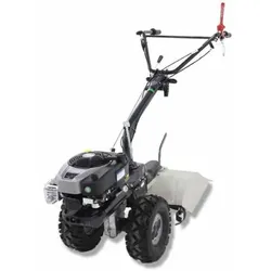 Einachsschlepper Eurosystems TM 70 RB EVO mit Briggs&Stratton 850E Motor, 2+1 Gänge